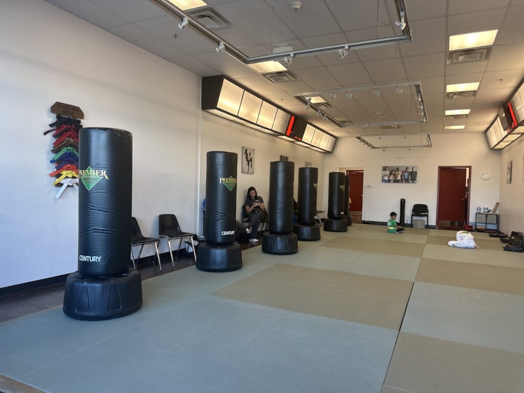 Premier Martial Arts