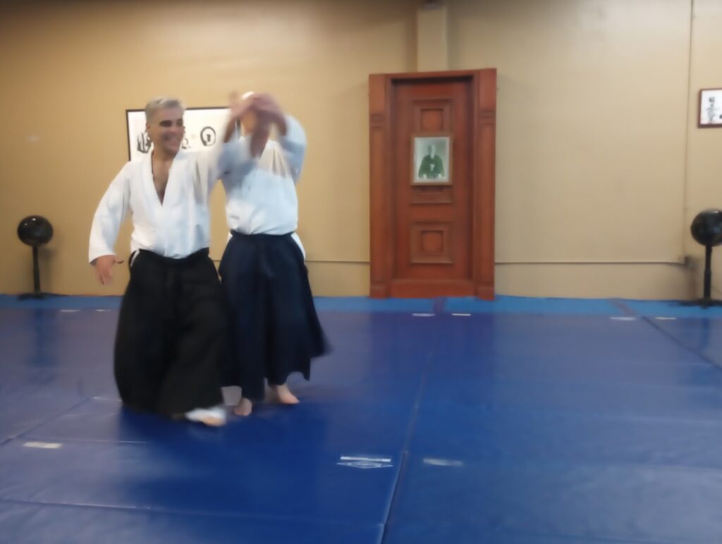 Aikido of Mountain View