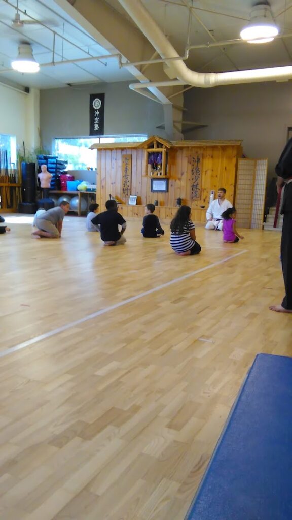 Okinawan Karate Academy