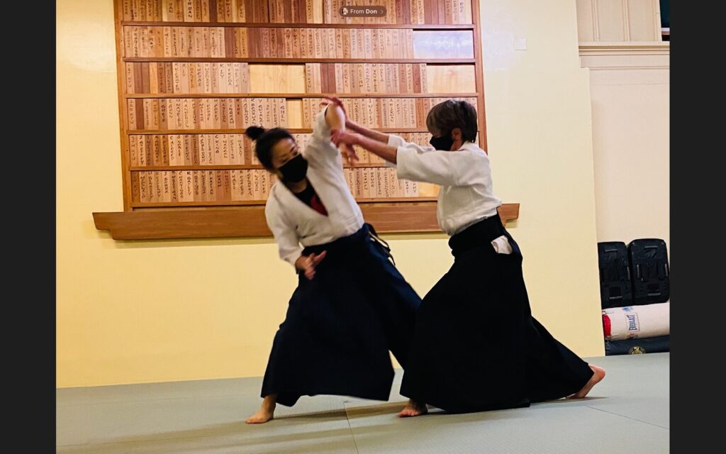 Tenzan Aikido