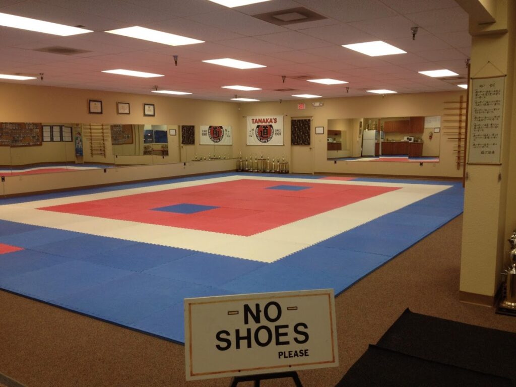 Tanaka’s Martial Arts Academy