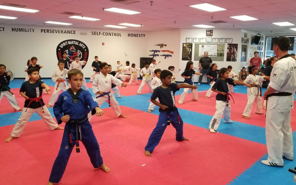 Spirit Martial Arts Center LLC