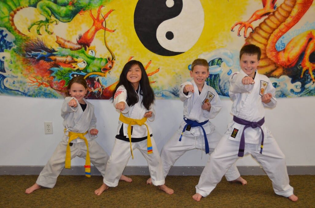 Vermont Martial Arts Academy