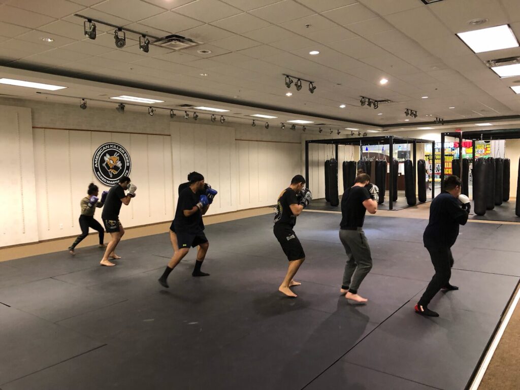 American Killer Bees PA MMA & Brazilian Jiu Jitsu