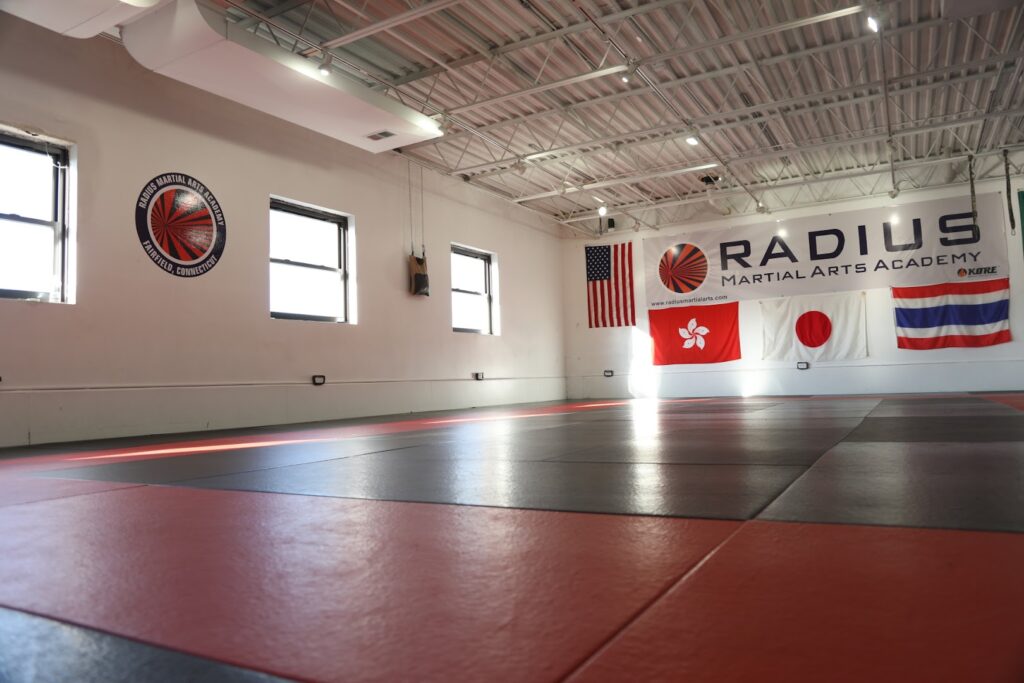 Radius Martial Arts Academy – 10th Planet Jiu Jitsu Fairfield