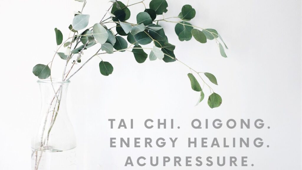 HUMMINGBIRD QIGONG