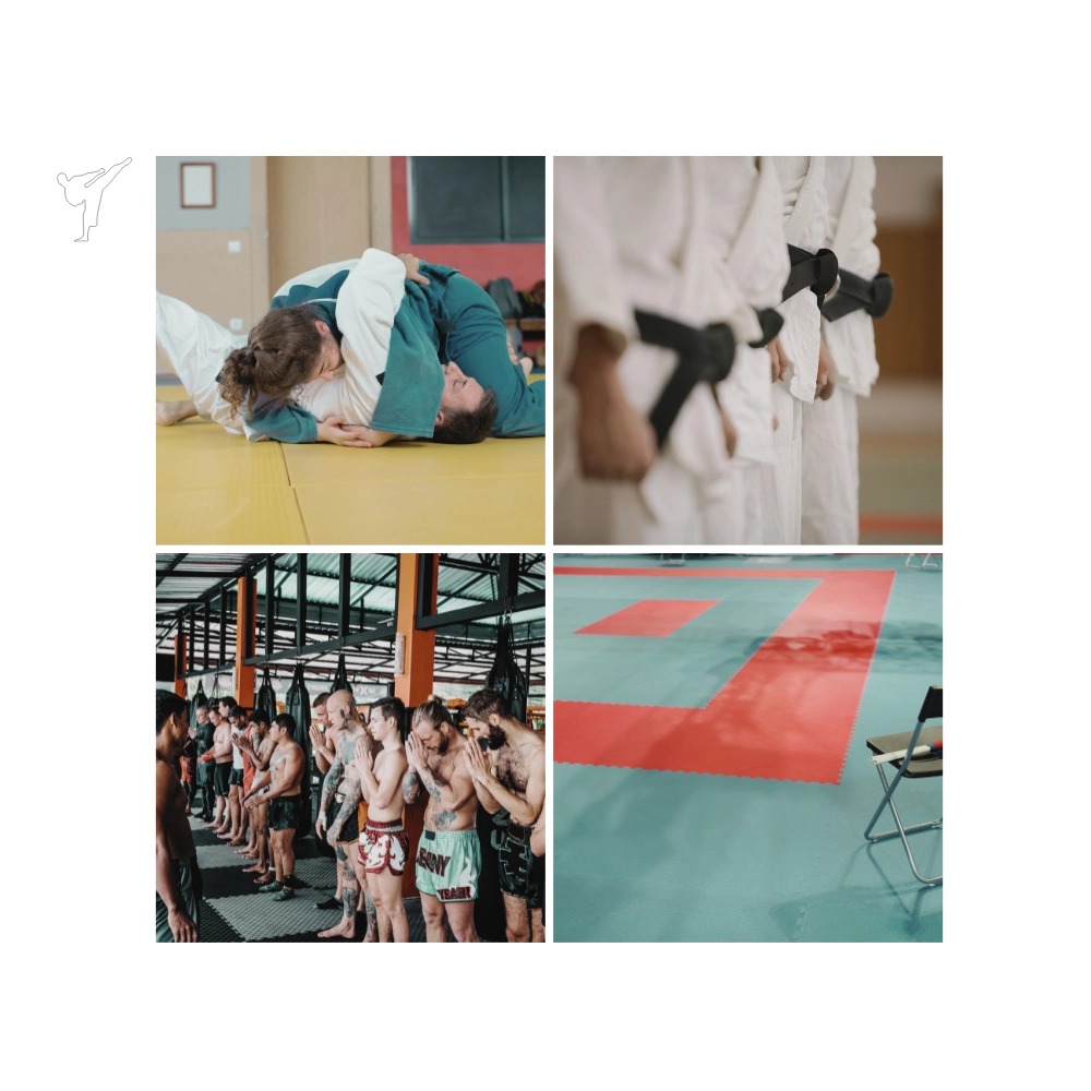A collage of martial arts styles and gyms.