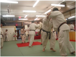 Oishi Judo Club